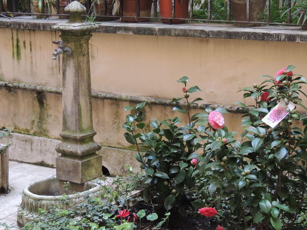 Morelli Bed & Breakfast Roma